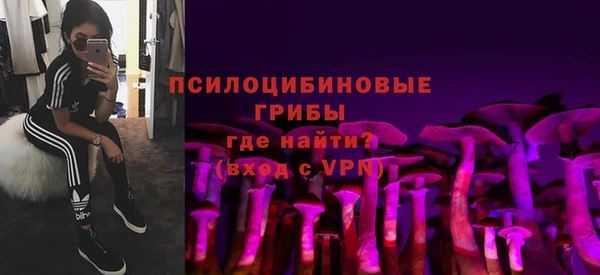 марки nbome Белокуриха