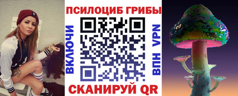 Псилоцибиновые грибы GOLDEN TEACHER Саяногорск