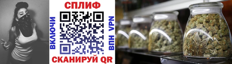 продажа наркотиков  Саяногорск  Бошки марихуана конопля 